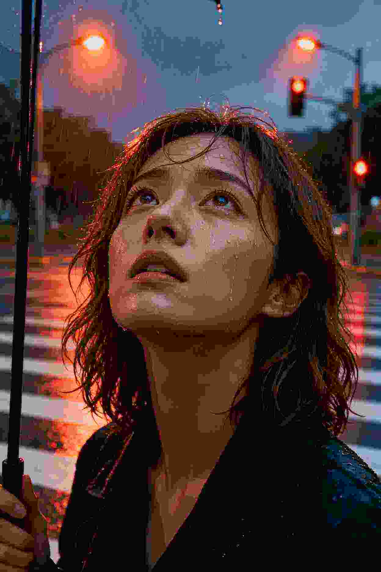 费德的四季